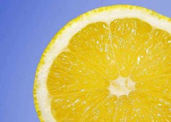 Comment garder le citron frais et juteux plus longtemps