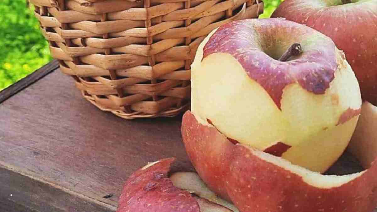 Comment recycler les pelures de pommes ?