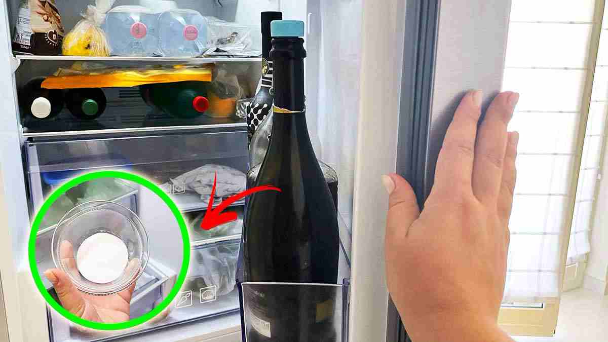 Comment absorber les mauvaises odeurs dans un frigo