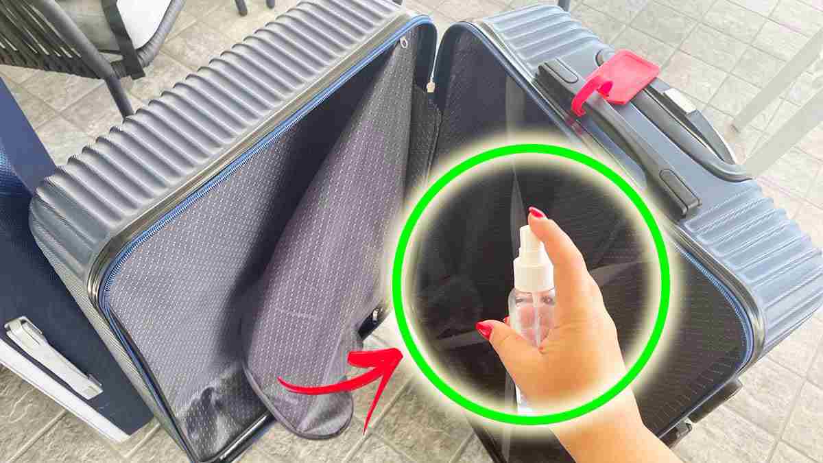 comment-nettoyer-une-valise-apres-les-vacances