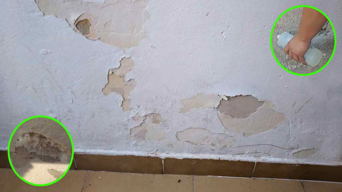 3-comment-reparer-un-mur-endommage-par-le-salpetre-et-la-moisissure-pour-toujours