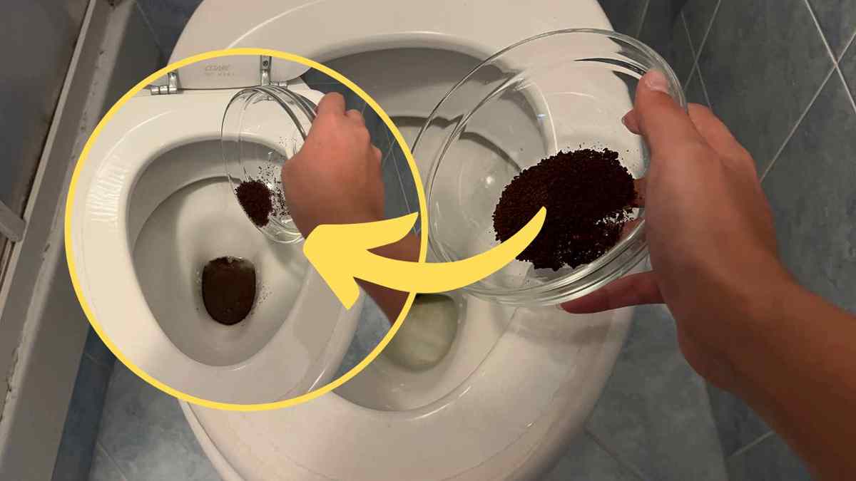 comment-nettoyer-les-toilettes-avec-du-marc-de-cafe
