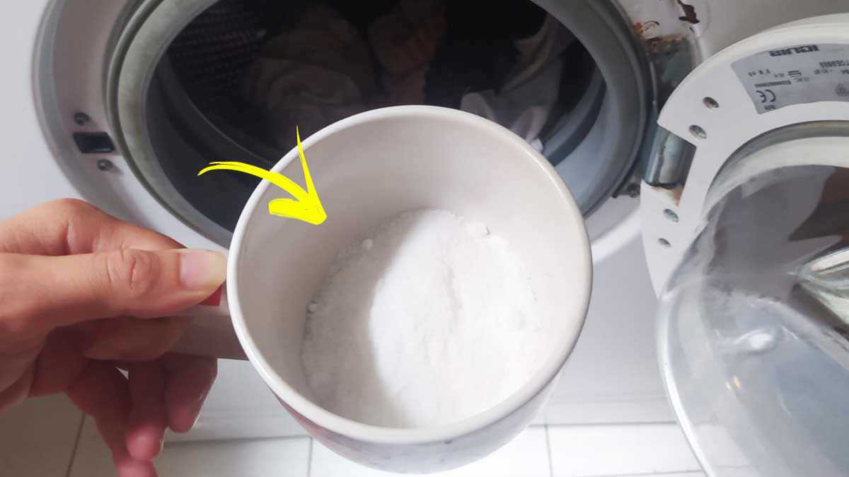 comment-nettoyer-sa-machine-a-laver-avec-du-sel