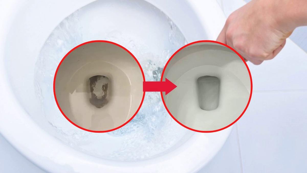 Comment éliminer les traces de moisissures noires des toilettes