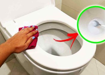 comment-enlever-des-grosses-traces-de-calcaire-dans-les-toilettes
