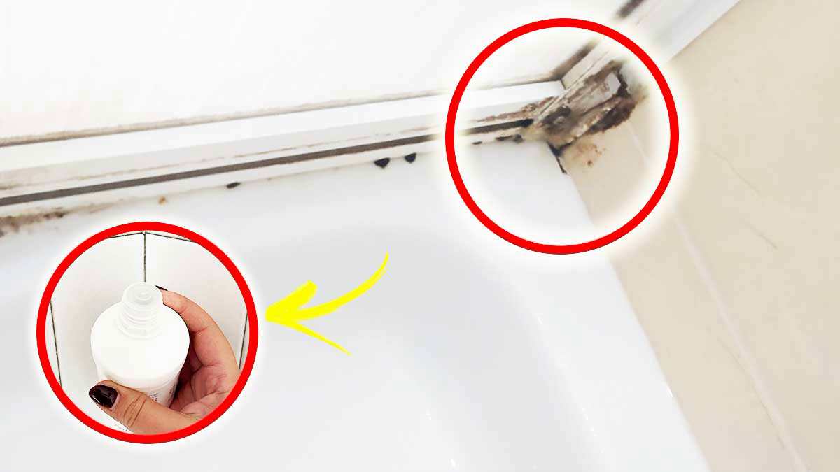 Comment nettoyer joint de silicone dans douche