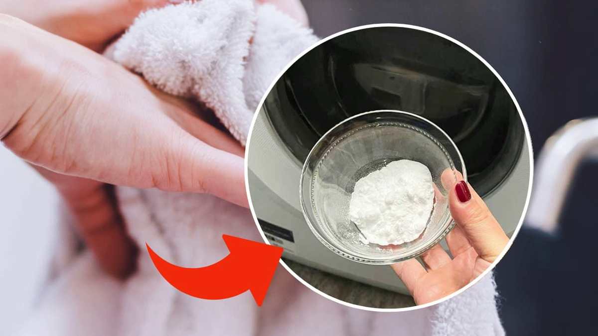 Comment rendre les serviettes douces et moelleuses