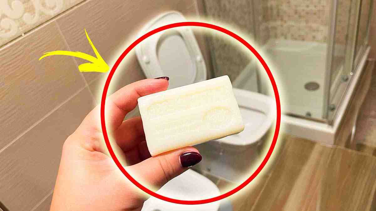 le-savon-de-marseille-est-un-produit-miracle-pour-votre-salle-de-bain
