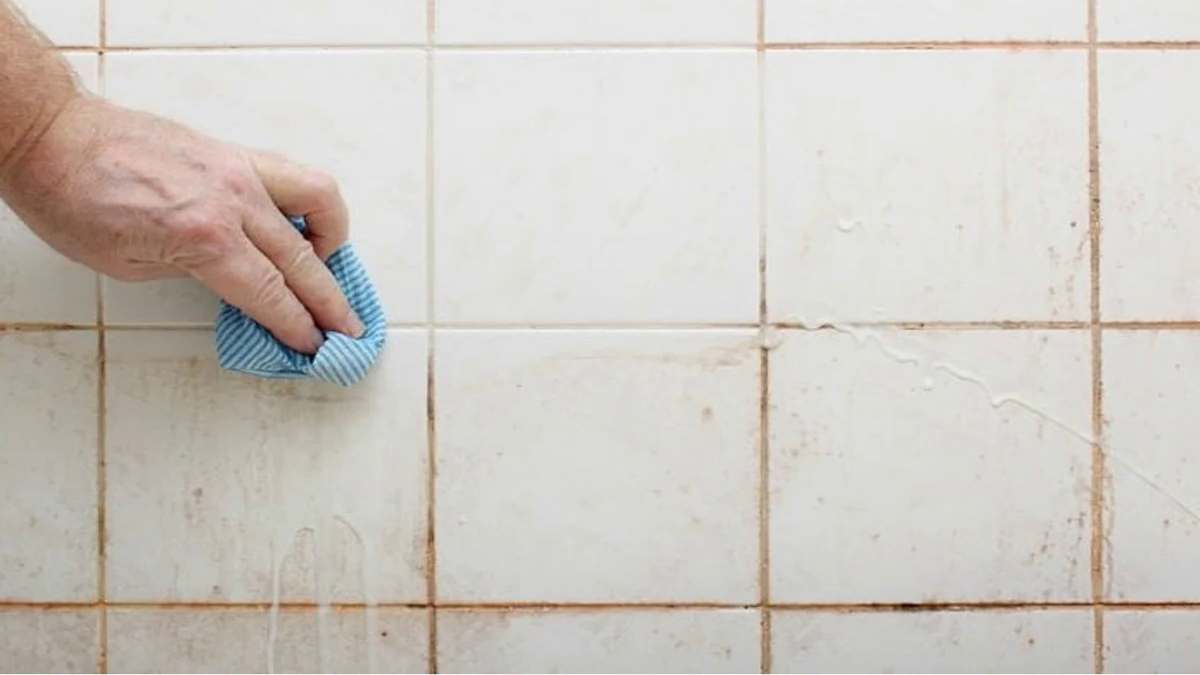 Passez un moment de plaisir en nettoyant la douche !