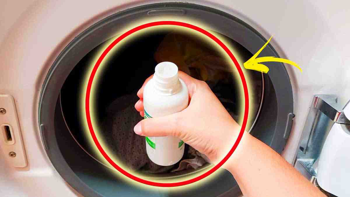 Peroxyde d’hydrogène meilleure astuce contre les moisissures à la maison et dans la machine à laver
