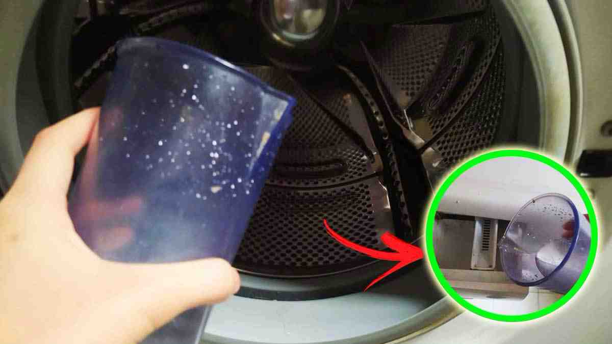 Comment nettoyer machine à laver à vide