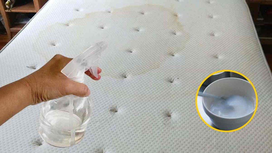 Apprenez à préparer un spray fait maison très efficace pour désinfecter les matelas
