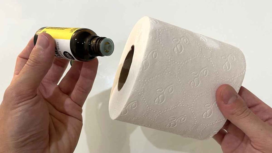 Comment parfumer toute la salle de bain avec un rouleau de papier toilette