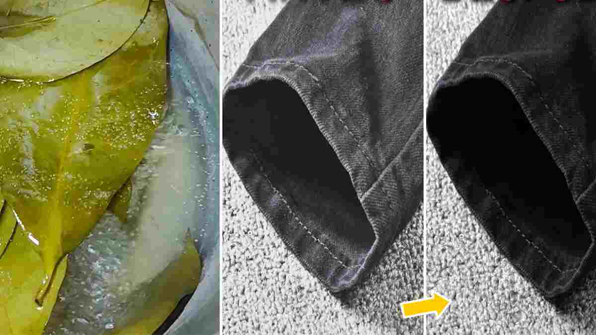 Comment récupérer des vêtements sombres délavés avec du laurier et du bicarbonate de soude