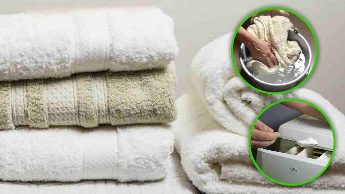L'astuce des hôtels pour toujours avoir des serviettes très douces