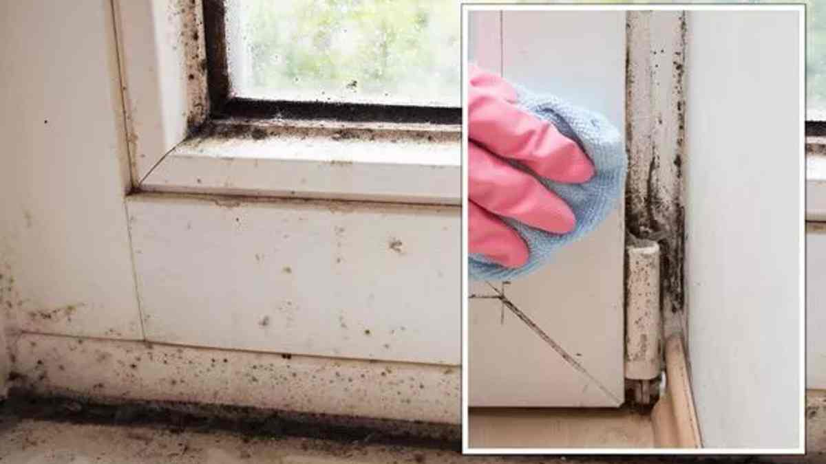 éliminer les moisissures autour des fenêtres de la salle de bain